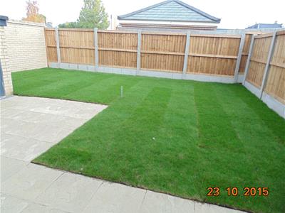 Picture 10